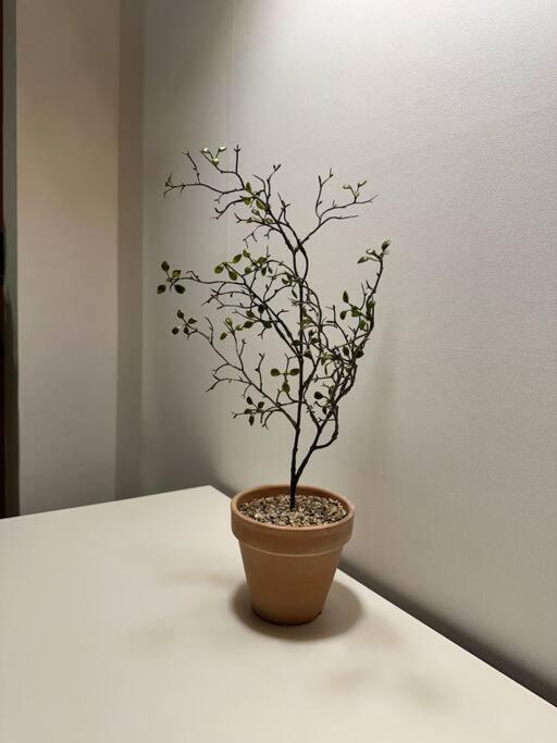 Apartment 10-minute Walk From Hongdae Entrance Station, 2 Rooms, 3 Beds